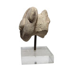 Hittite Terracotta Head //  c. 1200 - 1000 BC