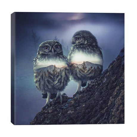 Owl Twins // Paul Haag