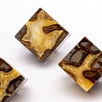 Madagascar Polished Septarian Cubes // Set of 3 // Ver. II