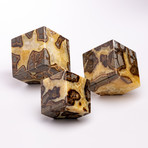 Madagascar Polished Septarian Cubes // Set of 3 // Ver. II