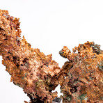 Michigan Natural Native Copper Nugget + Acrylic Stand