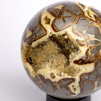 Madagascar Septarian Crystallized Sphere