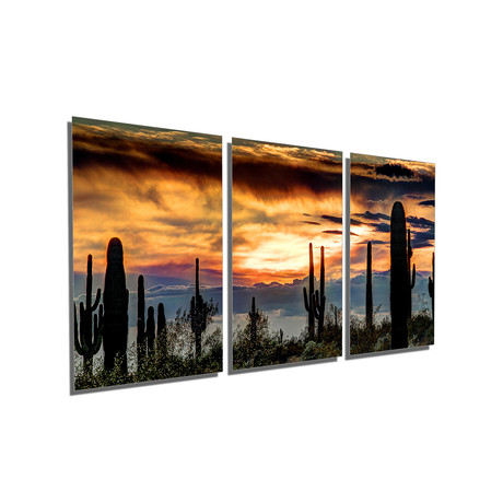 Sonoran Desert, Arizona Sunset