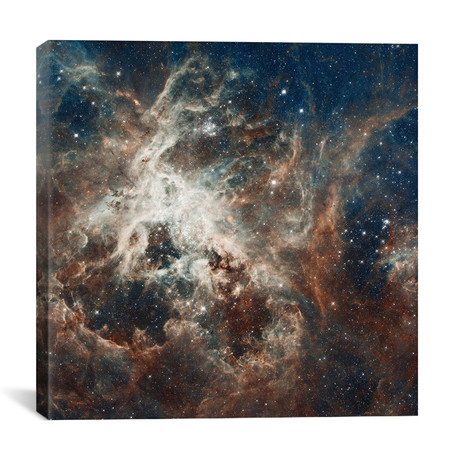 Prolific Star-Forming Region, 30 Doradus (Tarantula Nebula) (Hubble Space Telescope 22nd Anniversary Image) // NASA (26"W x 26"H x 1.5"D)