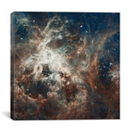 Prolific Star-Forming Region, 30 Doradus (Tarantula Nebula) (Hubble Space Telescope 22nd Anniversary Image) // NASA (26"W x 26"H x 1.5"D)
