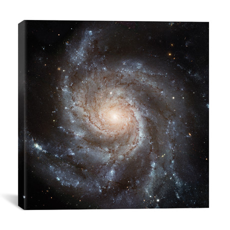 Big, Beautiful Spiral, Messier 101 (Pinwheel Galaxy) // NASA (26"W x 26"H x 1.5"D)