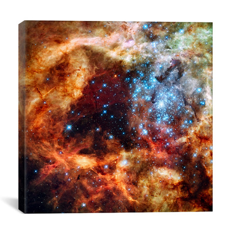R136 Star Cluster (Hubble Space Telescope) // NASA (26"W x 26"H x 1.5"D)