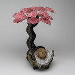 The Wisdom Tree // Genuine Rose Quartz + Amethyst & Calcite Matrix // Custom