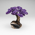 The Grounding Tree // Genuine Amethyst Tree + Black Tourmaline Matrix