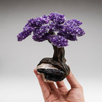 The Grounding Tree // Genuine Amethyst Tree + Black Tourmaline Matrix
