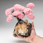 The Wisdom Tree // Genuine Rose Quartz + Calcite Matrix // Custom v.2