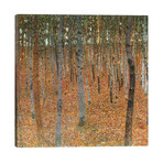 Forest of Beech Trees by Gustav Klimt (12"H x 12"W x 1.5"D)