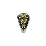 United States Air Force Ring // Silver + Gold + Black (8)