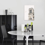 Paris IV // Andre Vicente Goncalves (26"W x 40"H x 1.5"D)