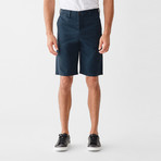 Travis Chino Shorts // Geyser (40)