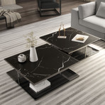 Ann Coffee Table // White Marble (Black Marble)