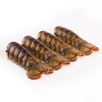 Lobster Tails // Set of 4