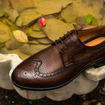 Teide Dress Shoe // Brown (Euro: 42)