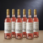 Aglianico Rosé // Set of 6