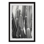 Vintage Cactus // Framed Painting Print (8"W x 12"H x 1.5"D)