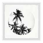 Black Palm Leaves // Framed Painting Print (12"W x 12"H x 1.5"D)