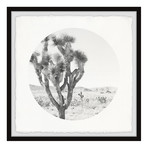 Desert Cacti // Framed Painting Print (12"W x 12"H x 1.5"D)