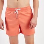 Citrus Swim Short // Pomegranate (L)