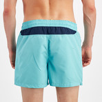 Classic Swim Short // Mint (XL)