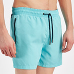 Classic Swim Short // Mint (XL)