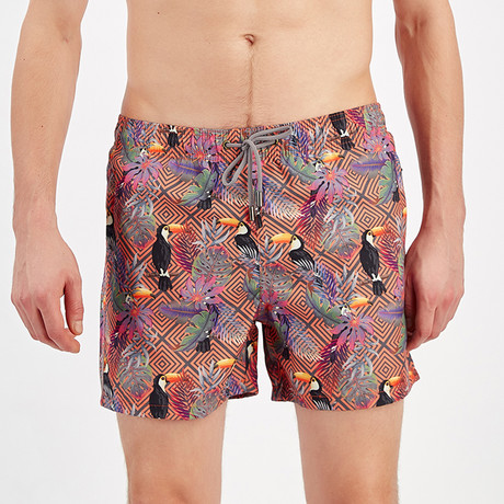 Toucan Swim Short // Multicolor (S)