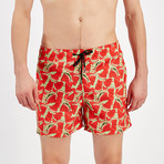 Watermelon Swim Short // Multicolor (XL)