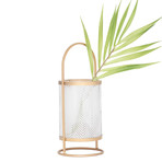 Sala // Gold Trim Glass Hurricane Vase (12"H)