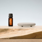 Stone Diffuser + Japanese Essential Oils // 3 Assorted Scents