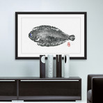 Dover Sole (12"W x 8"H x 1.5"D)