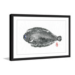 Dover Sole (12"W x 8"H x 1.5"D)