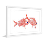 Red Bream (12"W x 8"H x 1.5"D)