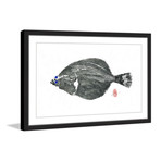 Parrot Fish (12"W x 8"H x 1.5"D)