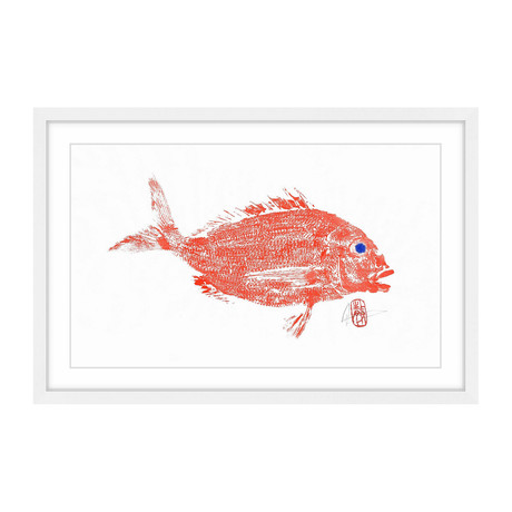 Red Snapper (12"W x 8"H x 1.5"D)