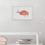 Red Snapper (12"W x 8"H x 1.5"D)