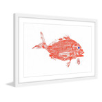 Red Snapper (12"W x 8"H x 1.5"D)