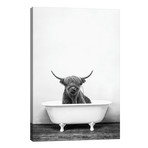 Highland Cow In Bathtub Black And White // Amy Peterson