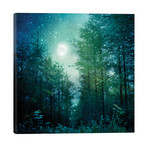 Enchanted Forest // Ros Berryman