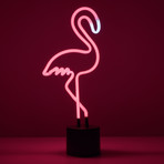 Neon // Flamingo