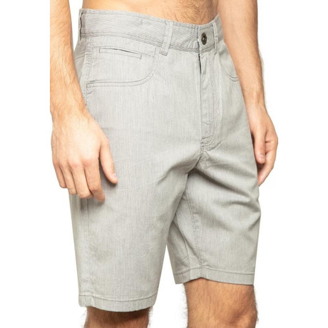 Hermosa Stripe Shorts // Gray (30)