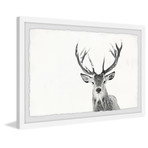Majestic Antlers (12"W x 8"H x 1.5"D)