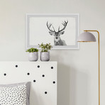 Majestic Antlers (12"W x 8"H x 1.5"D)