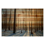 Papineau // Natural Pine Wood (12"W x 8"H x 1.5"D)
