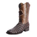 Rodeo Square Boot Caiman Parche Print // Brown (US: 11EE)