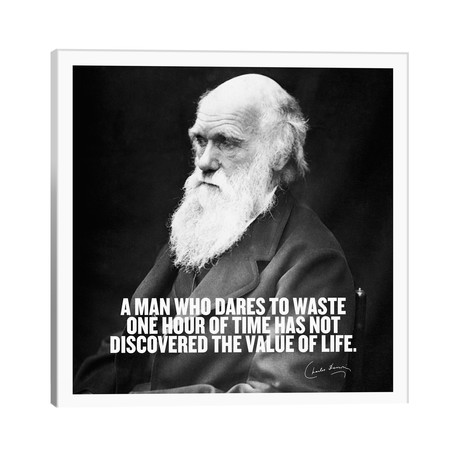Charles Darwin Quote // Unknown Artist (26"W x 26"H x 1.5"D)