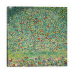 Apple Tree (Apfelbaum), 1912 // Gustav Klimt (26"W x 26"H x 1.5"D)